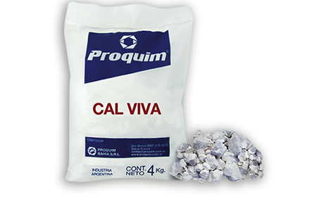 Cal Viva 1 KG  Productos Químicos
